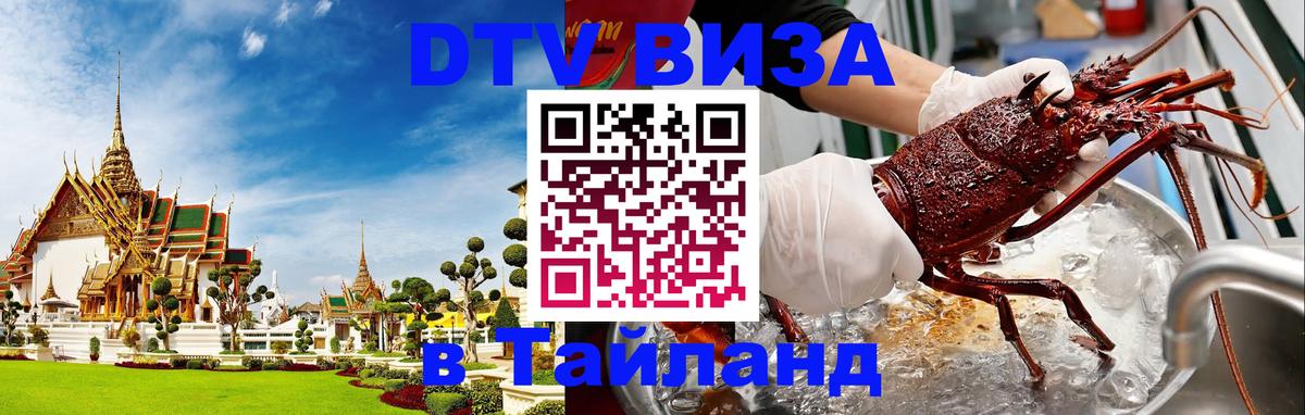 Оформление DTV визы под ключ: стоимость и тарифы, только загранпаспорт - Подгорица  18.11.2025 